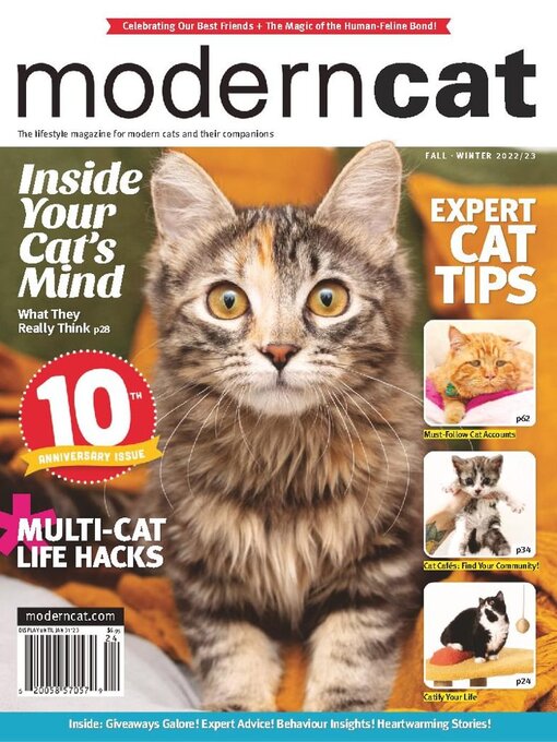 Title details for Modern Cat by Modern Cat Inc. - Available